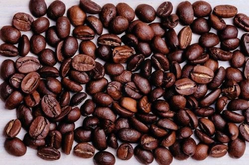 Káva 
Nômad India